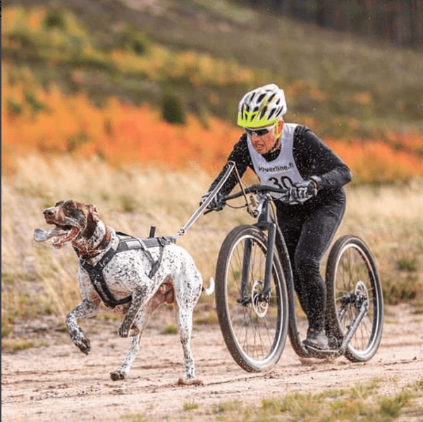 Barre cani-VTT Bikejor Max – À crocs